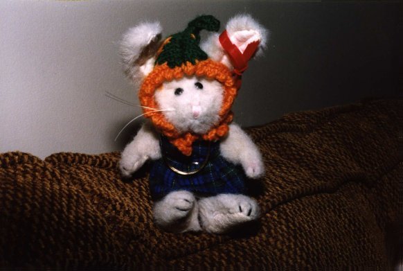Carrot, who thinks she's real