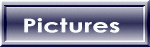 Picture Page