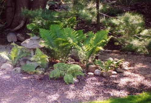 Japanese Garden